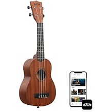 Kala Learn To Play Ukulele Starter Kit Nickel Fret Update